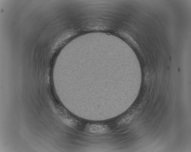 X0000066100635200604071823