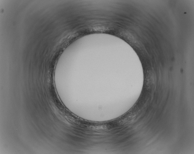 X0000066100639200604071823