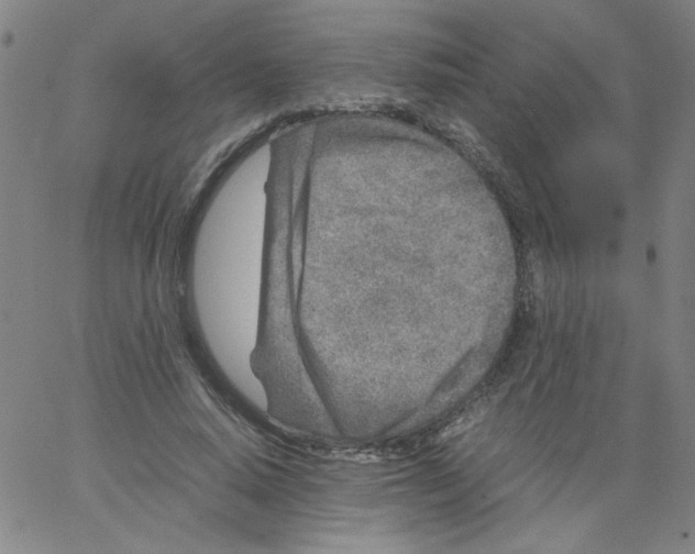 X0000066100640200604071823