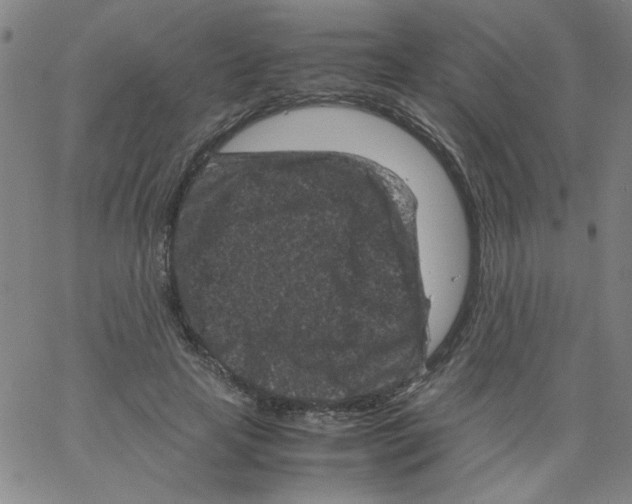 X0000066100641200604071823