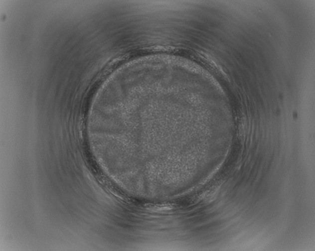 X0000066100643200604071823