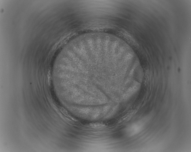 X0000066100644200604071823