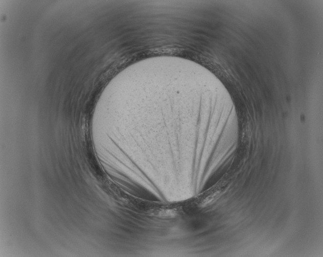 X0000066100647200604071823