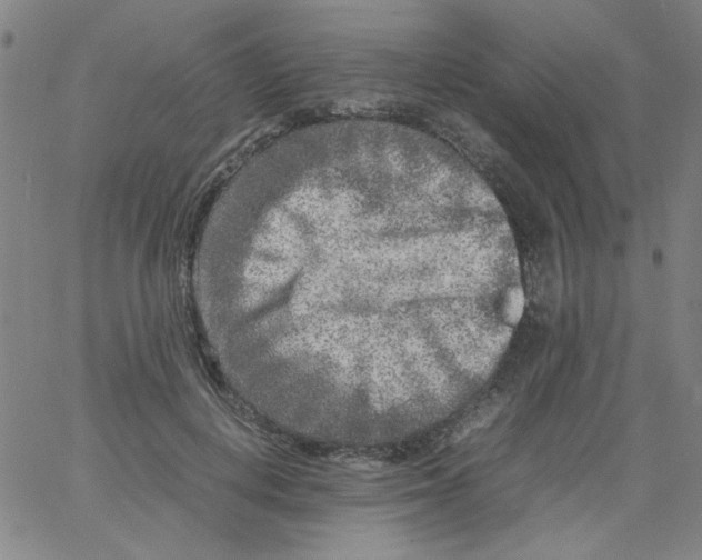 X0000066100648200604071823