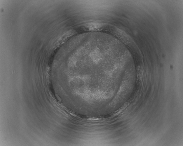 X0000066100650200604071823