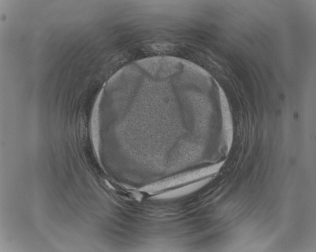 X0000066100651200604071823