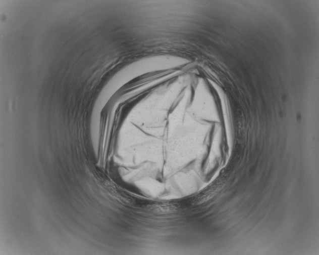 X0000066100652200604071823