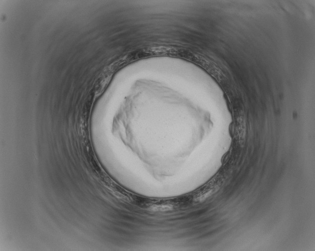 X0000066100653200604071823