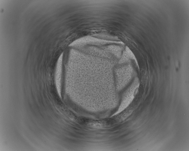 X0000066100655200604071823