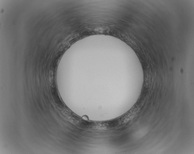 X0000066100656200604071823