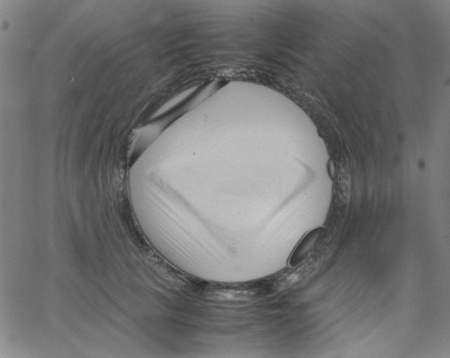 X0000066100657200604071823