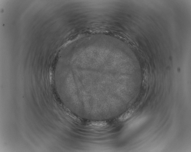 X0000066100659200604071823