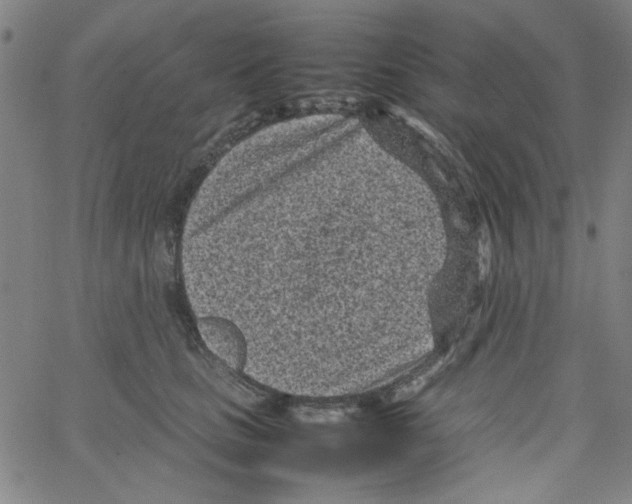 X0000066100661200604071823