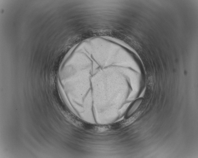 X0000066100662200604071823