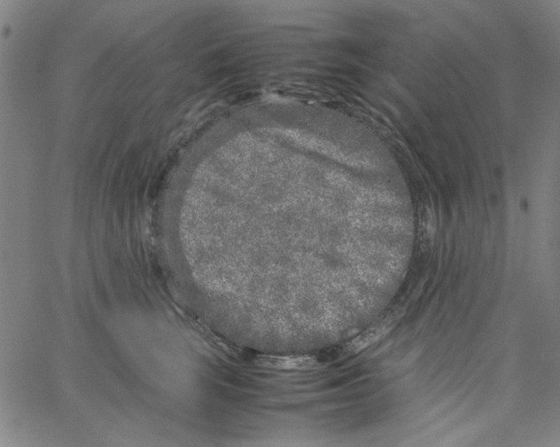 X0000066100663200604071823