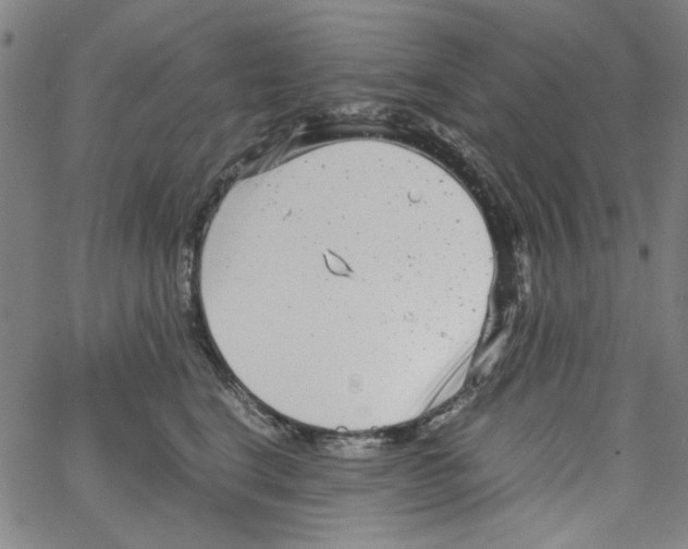 X0000066100664200604071823