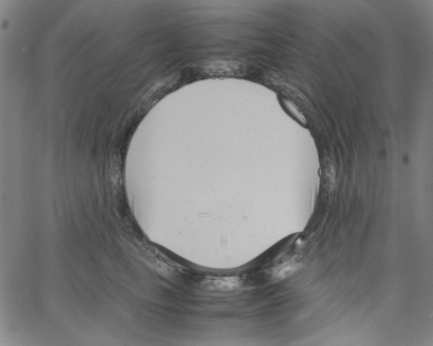 X0000066100665200604071824