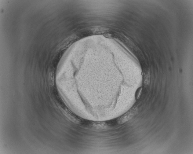 X0000066100666200604071824