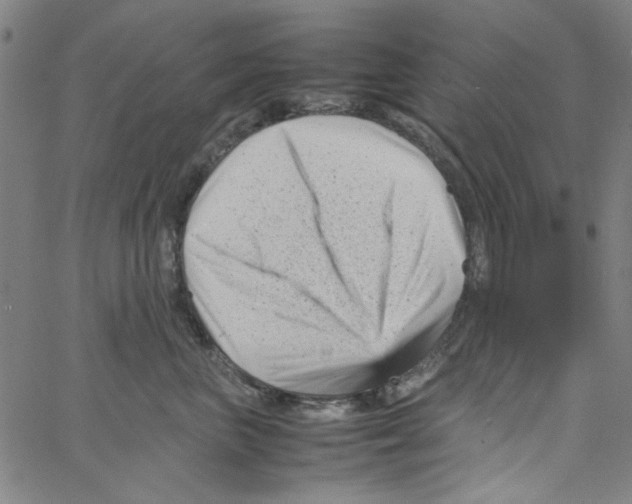 X0000066100667200604071824