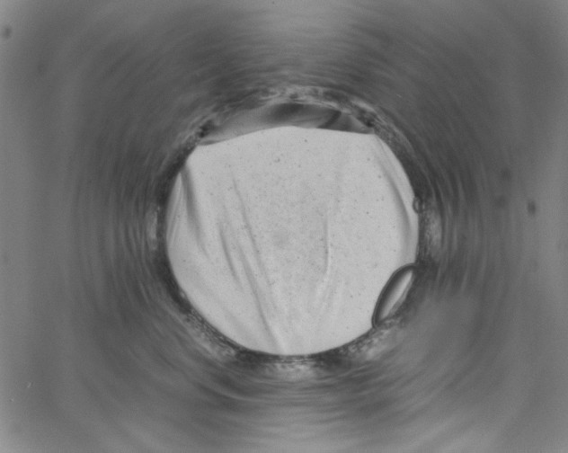 X0000066100668200604071824