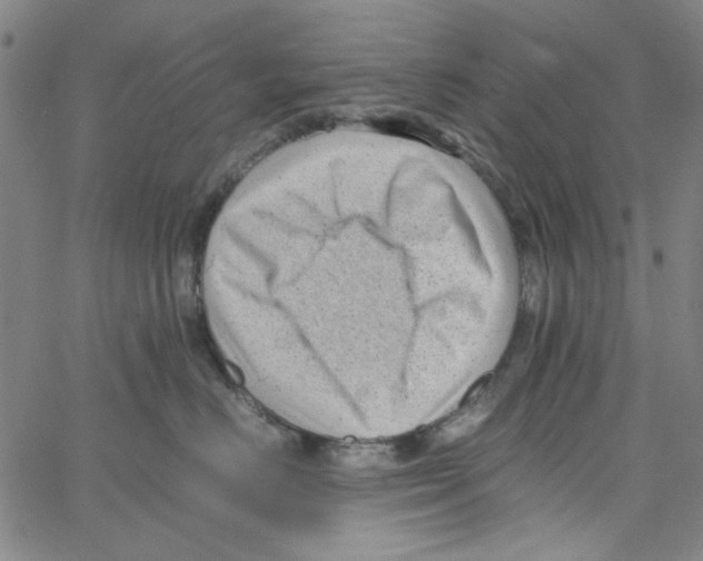 X0000066100670200604071824