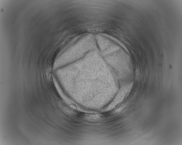 X0000066100671200604071824