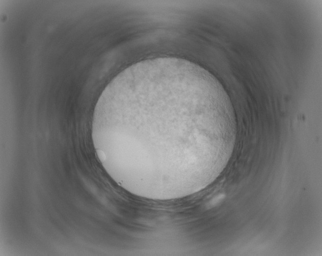 X0000066100672200604071824