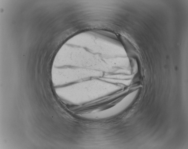 X0000066100673200604071823