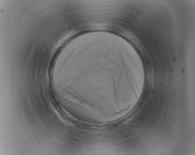 X0000066100674200604071823