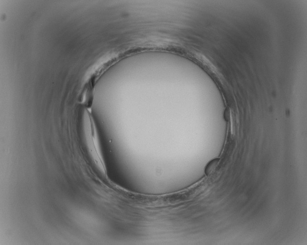 X0000066100675200604071823