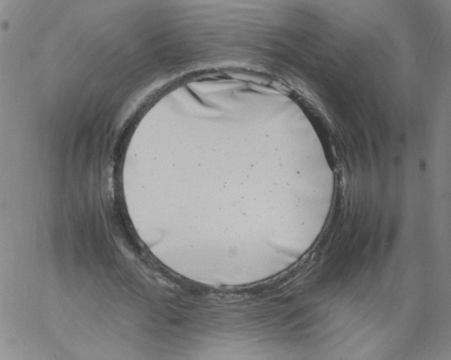 X0000066100676200604071823