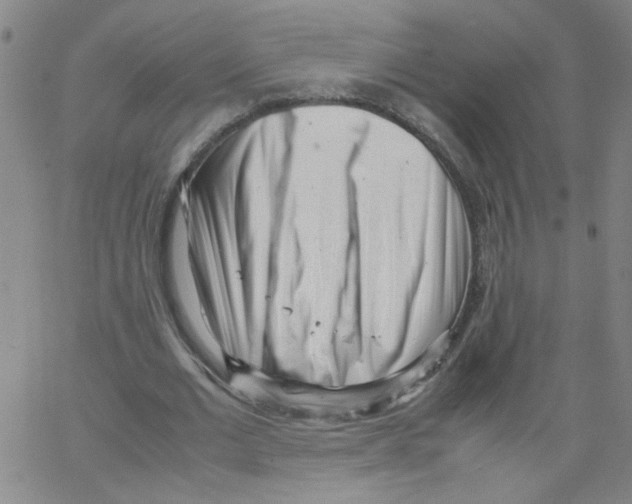 X0000066100677200604071823