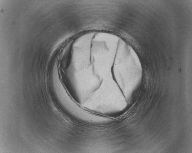 X0000066100680200604071823