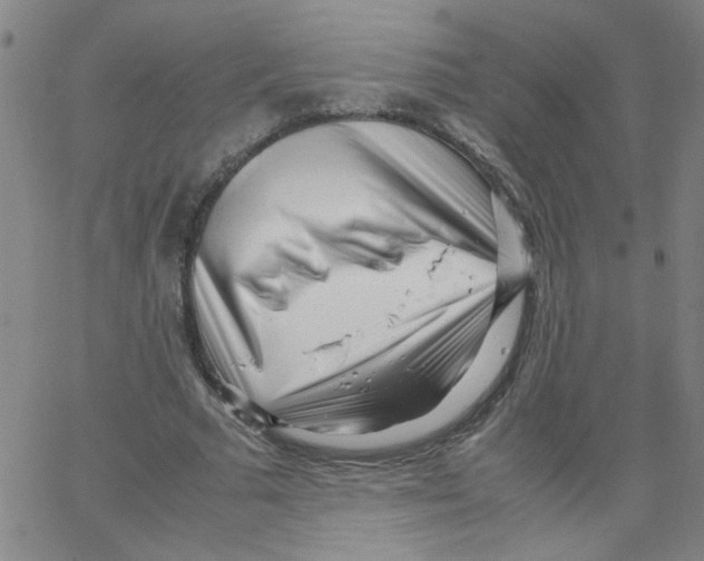 X0000066100681200604071823