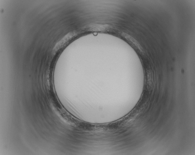 X0000066100682200604071823