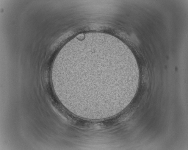 X0000066100683200604071823