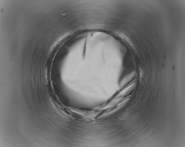 X0000066100684200604071823