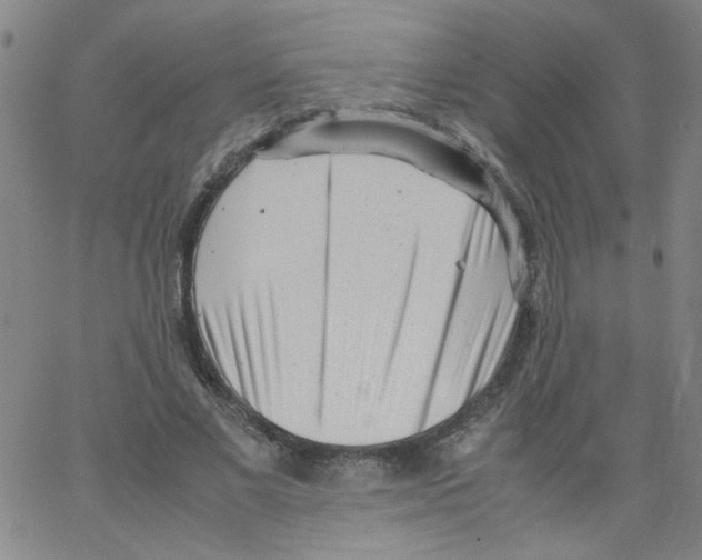 X0000066100685200604071823