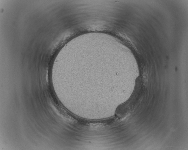 X0000066100686200604071823