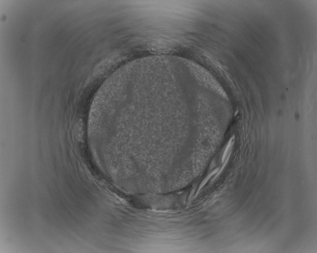 X0000066100689200604071823