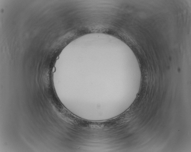 X0000066100690200604071823