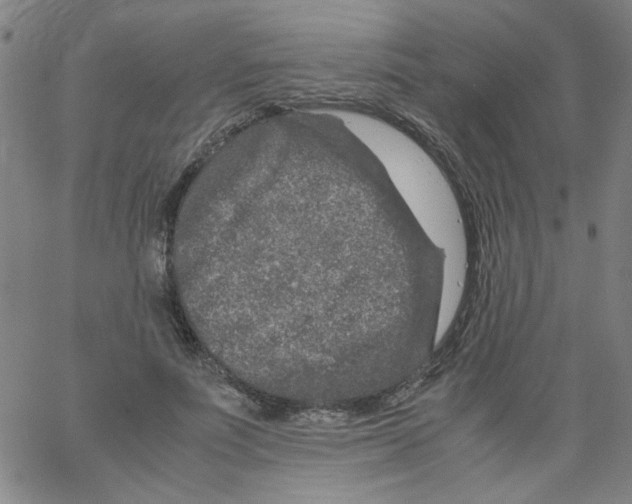 X0000066100691200604071823