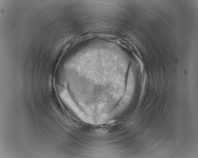 X0000066100692200604071823