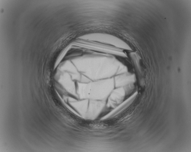 X0000066100693200604071823