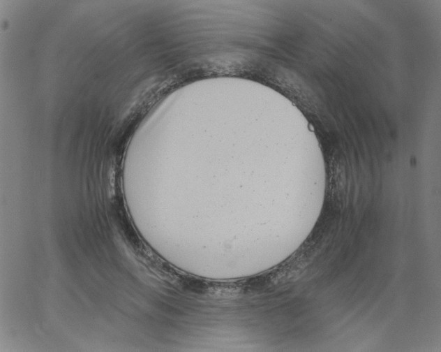 X0000066100694200604071823