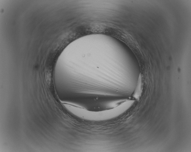 X0000066100697200604071822