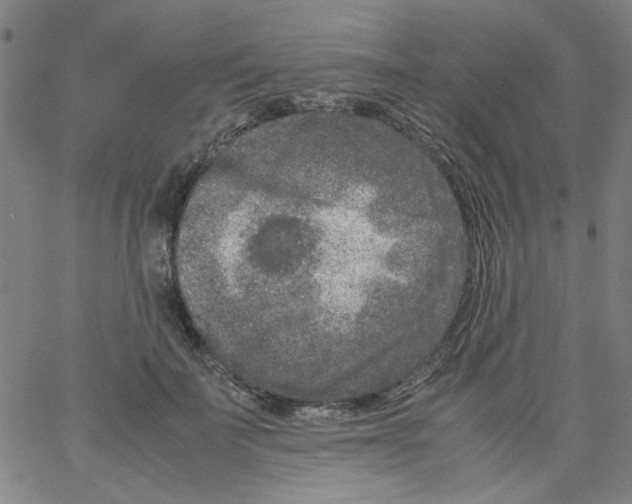 X0000066100699200604071822