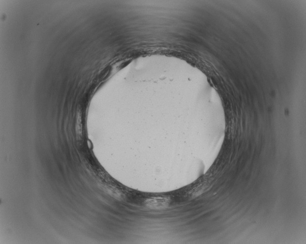 X0000066100700200604071822