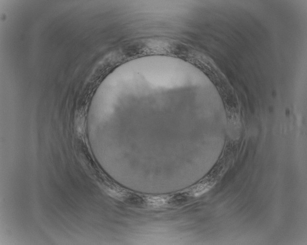 X0000066100701200604071822