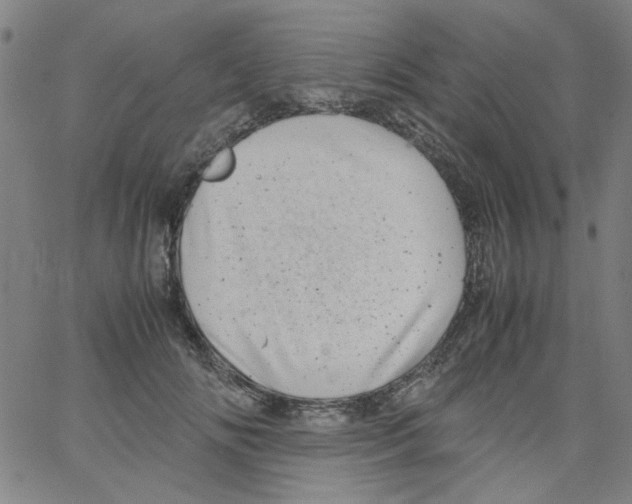 X0000066100702200604071822